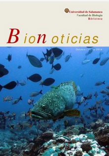 Bionoticias1